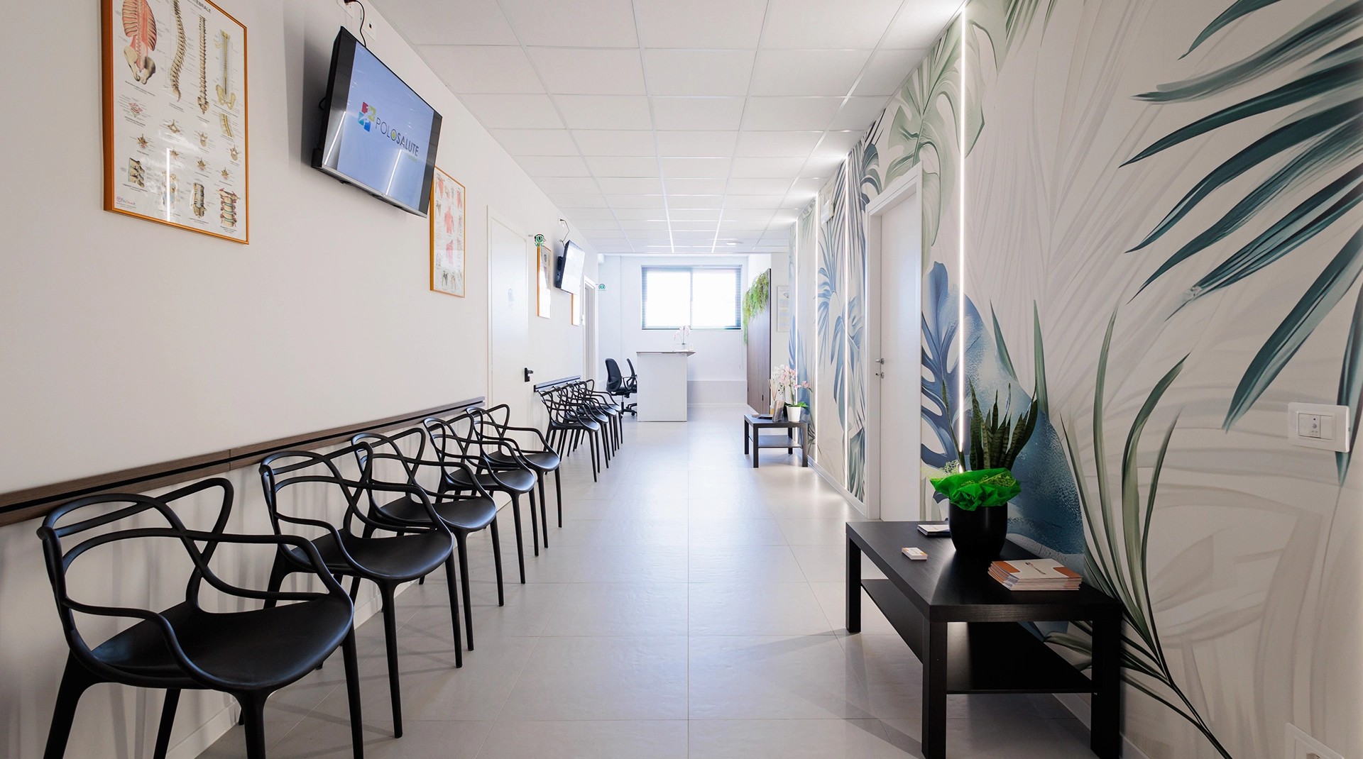 Fisioterapia Forte dei Marmi | Home